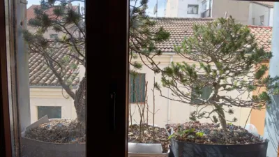 Apartment in Centro