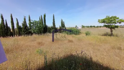 Miniatura 10