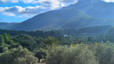 Pis – Tàrbena, la Marina Baixa - Vista 4