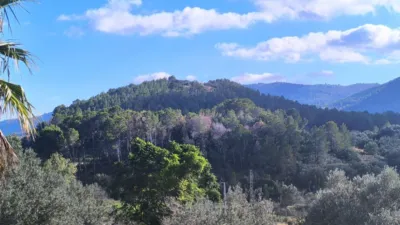 Pis – Tàrbena, la Marina Baixa - Vista 5