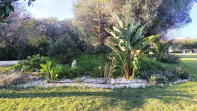 Casa – Ondara, Polígon Industrial d'Ondara, Pamis - Vista 4