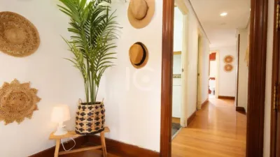 Apartment in Algorta photo 16