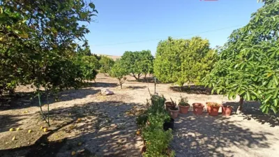 Chalet for Sale in El Pavo photo 26