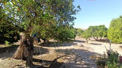 Chalet for Sale in El Pavo photo 27