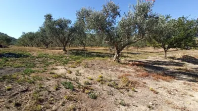 Chalet for Sale in El Pavo photo 28