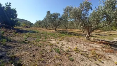 Chalet for Sale in El Pavo photo 29