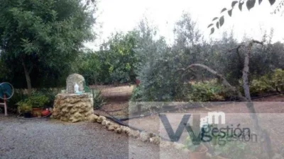 Rustic finca in Alberite photo 5