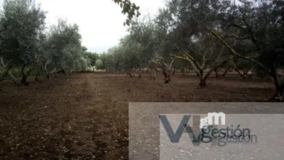 Rustic finca in Alberite photo 7