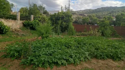 Rustic property in Campus Universitario photo 17