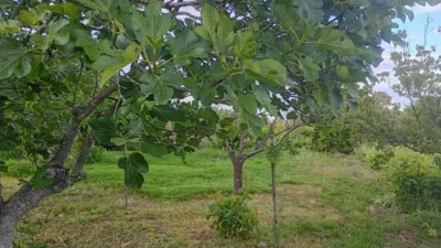 Rustic property in Campus Universitario photo 18