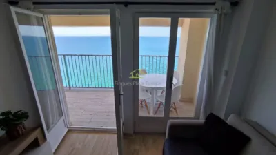 Apartment in Platja D´Aro photo 7