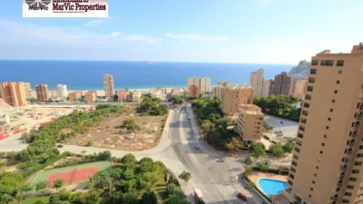 Apartment in Platja de Ponent photo 27