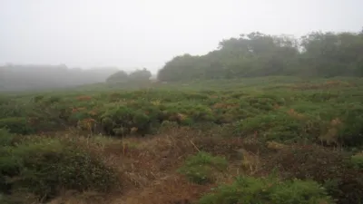 Terreno en venta en Calle Ciudad Escolar - los Rosales, Número 0 - Vista 3