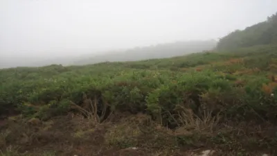 Terreno en venta en Calle Ciudad Escolar - los Rosales, Número 0 - Vista 2