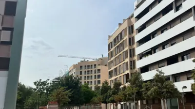 Apartment on Calle Río Taibilla photo 15