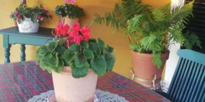 House on Camino de la Fuente Amarga photo 7