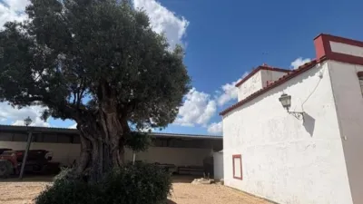 House on Camino de Neva Street photo 4
