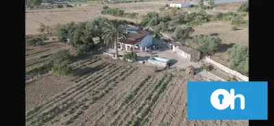 Rustic Finca in Gibraleón photo 17