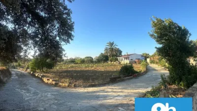 Rustic Finca in Gibraleón photo 22