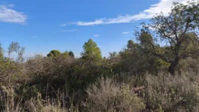 Terreno en venta en Partida. Costera Negra - Más