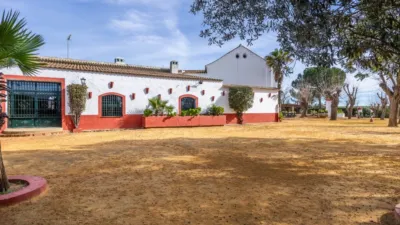 Rustic House on Carretera de Guadajoz photo 13