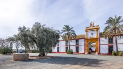 Rustic House on Carretera de Guadajoz photo 30