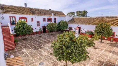 Rustic House on Carretera de Guadajoz photo 34