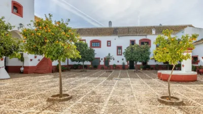 Rustic House on Carretera de Guadajoz photo 35