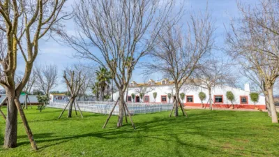 Rustic House on Carretera de Guadajoz photo 4