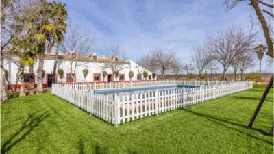 Rustic House on Carretera de Guadajoz photo 7