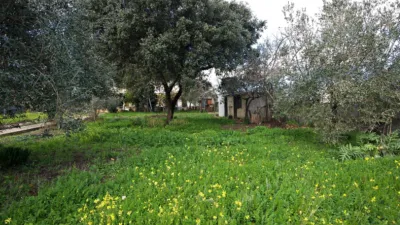 House in Torremocha photo 4