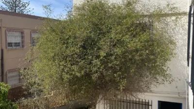 Chalet unifamiliar en venta en Santo Domingo, Santo Domingo (El Ejido) de 550.008 €