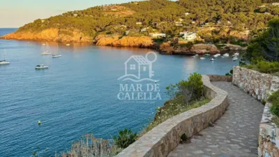 Apartment in Sa Riera photo 7