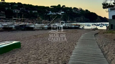 Apartment in Sa Riera photo 8