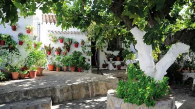 House in Barriada Puente de Don Manuel photo 3