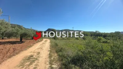 Detached house in Figueroles photo 39