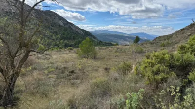 Terreno en venta en Adzaneta - Vista 3