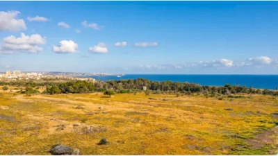 Pis – Orihuela, Urbanización Punta Prima, Urbanización Horizonte - Vista 5