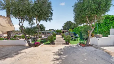 Casa – Elx - Elche - Vista 4