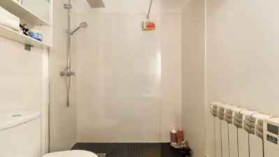 Apartment in Plaza de Cascorro photo 15