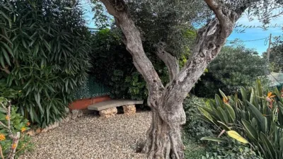 House on Calle Crang photo 2