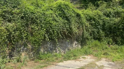 House on Calle Barrio Caño Salud photo 17