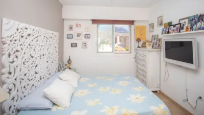 Apartment in Platja de Ponent photo 14