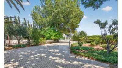 Casa – Sant Vicent del Raspeig - San Vicente del Raspeig - Vista 4