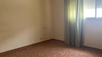 Apartment in Barrio Sur photo 4