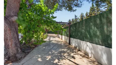 Casa – Sant Vicent del Raspeig - San Vicente del Raspeig - Vista 3