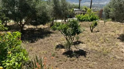 House on Camino El Cano photo 6