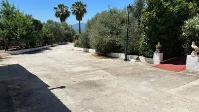 House on Camino El Cano photo 28