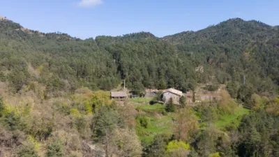 Rustic house on Calle Cal Moliner photo 13