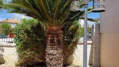 Detached villa in La Laguna del Portil photo 4